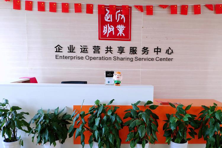 計(jì)算機(jī)系統(tǒng)集成與電子信息技術(shù) 技術(shù)轉(zhuǎn)讓與咨詢服務(wù)的價(jià)值探索