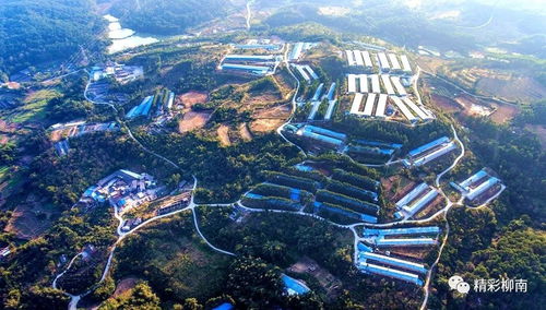 總投資17.3億元,開竣工19個項目,螺螄粉小鎮(zhèn)建設(shè)進入新階段